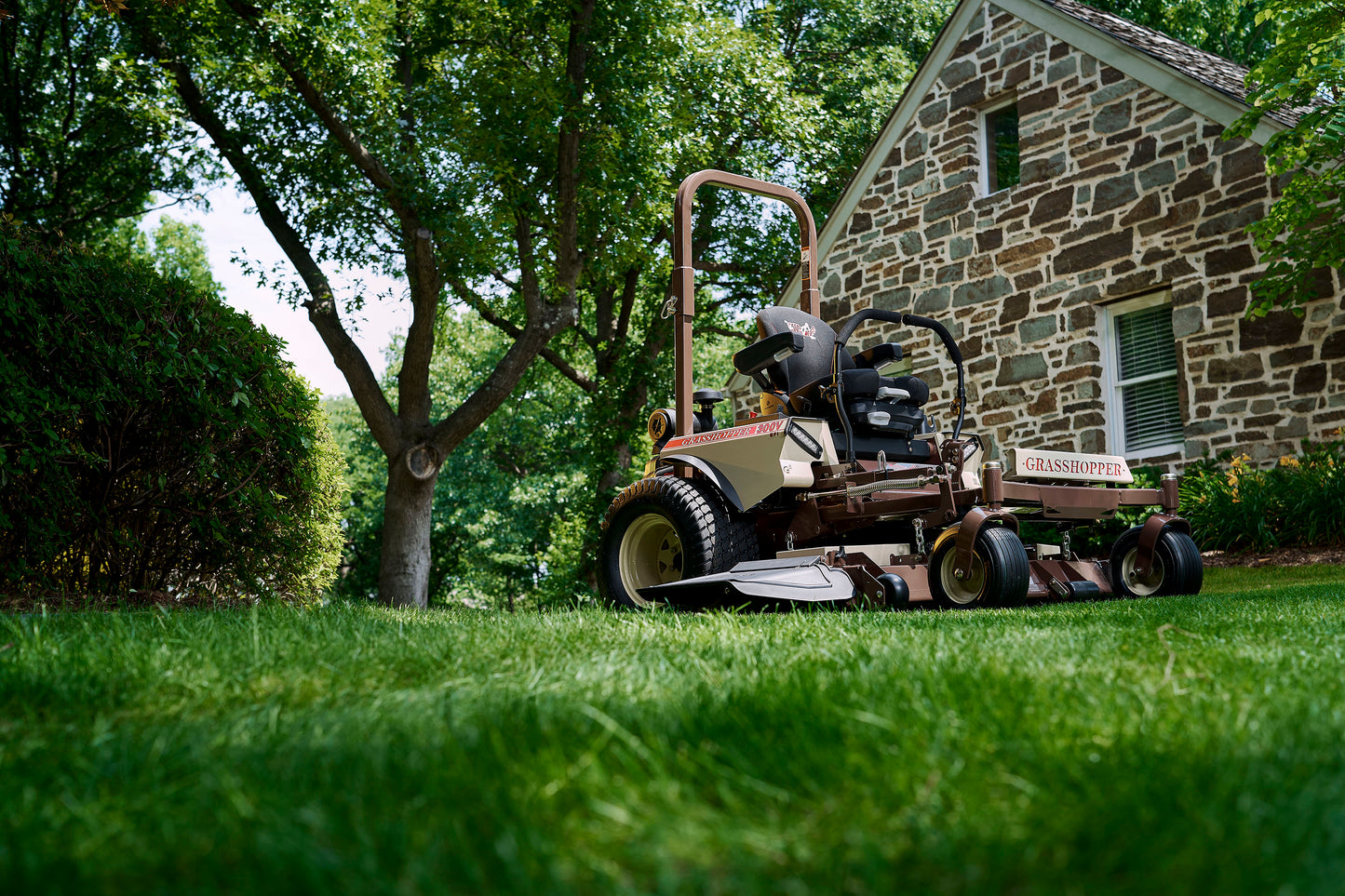Grasshopper - 534181 - 329, 72"