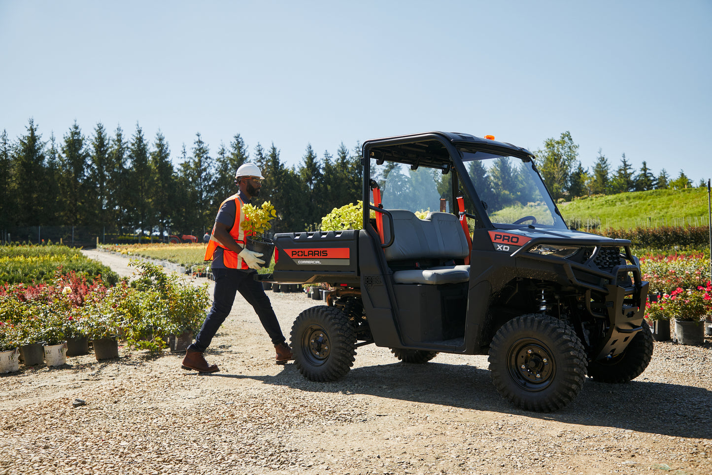 Polaris - ProXD, Mid-Size, Gas, Base