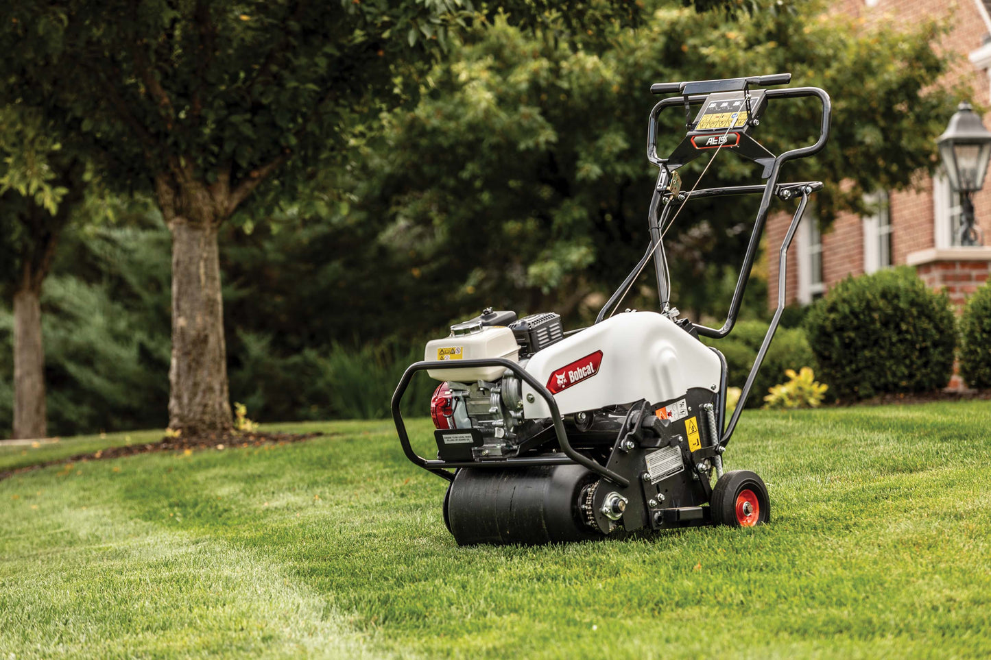 Bobcat - AE19, Vanguard 200