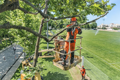 Husqvarna Forest & Garden - T435