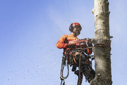 Husqvarna Forest & Garden - 550 XPG Mark II