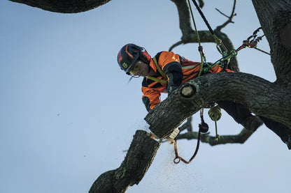 Husqvarna Forest & Garden - T540i XP